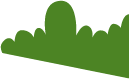 Bush5